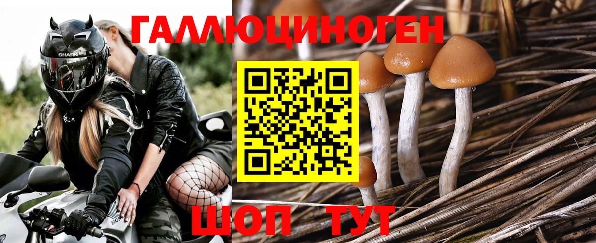 Псилоцибиновые грибы ЛСД Белореченск